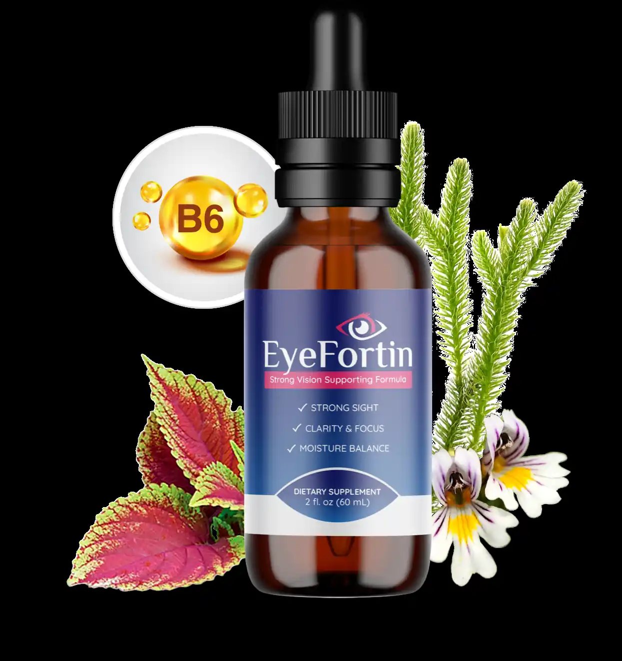 Eye Fortin logo